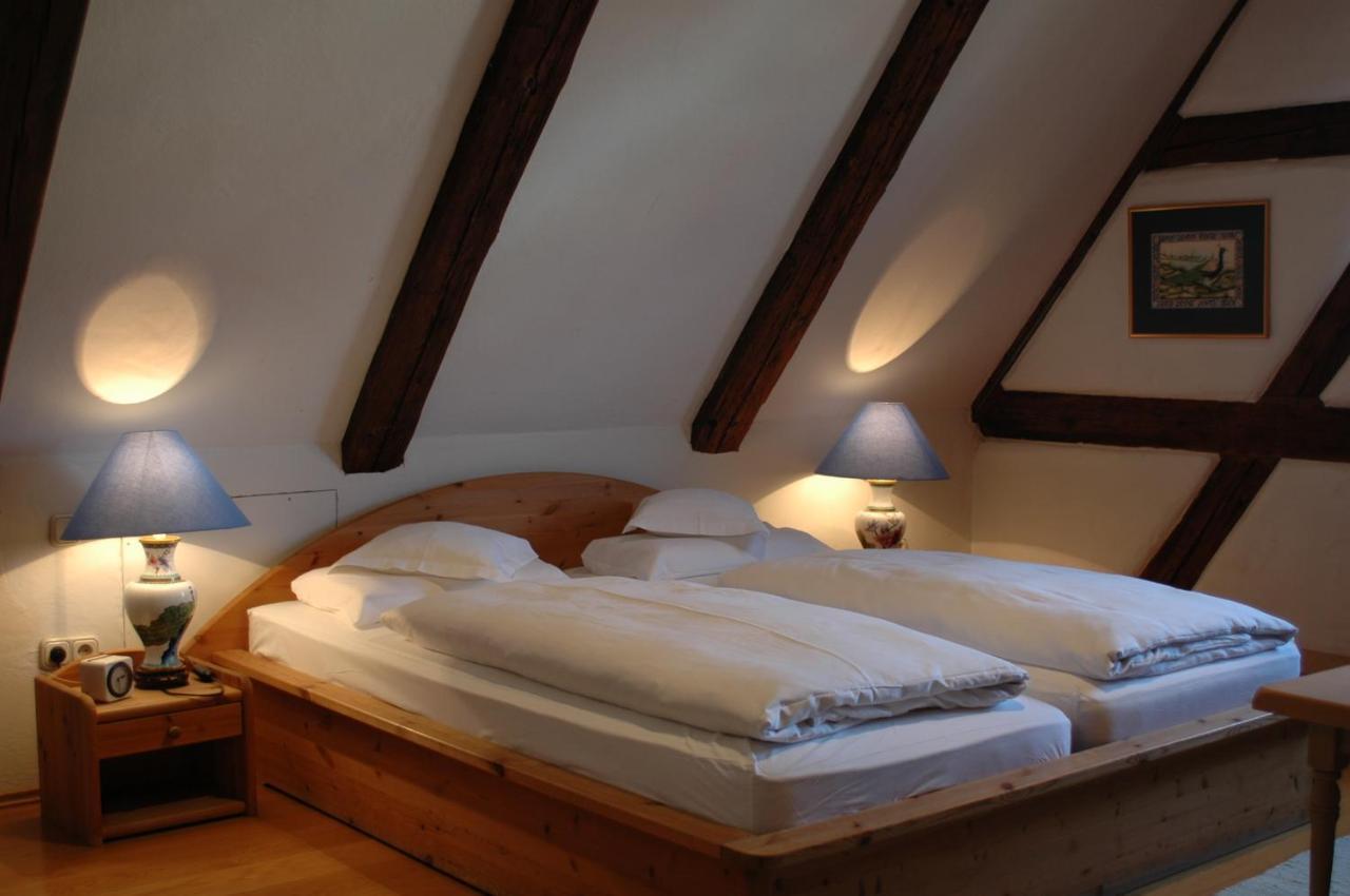 Hotel Schwarzer Adler Erlangen Extérieur photo